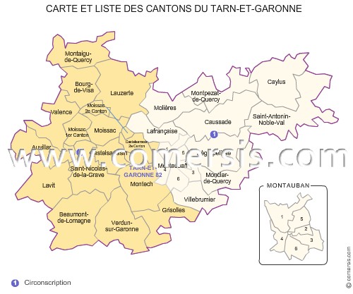Carte des anciens cantons du Tarn-et-Garonne